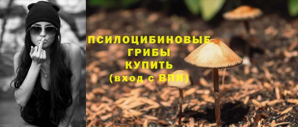 круглые Алексеевка