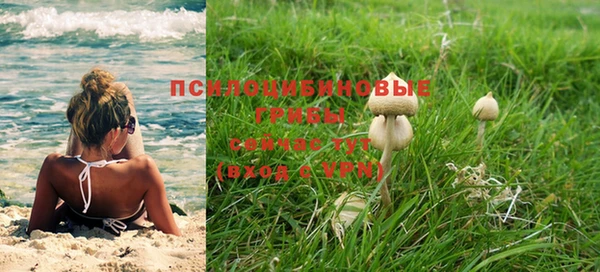 крисы Алзамай