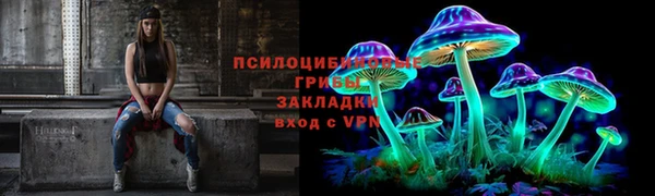 круглые Алексеевка