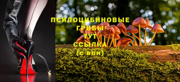 крисы Алзамай