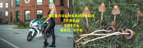 круглые Алексеевка
