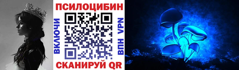 магазин продажи наркотиков Грязовец Галлюциногенные грибы мухоморы